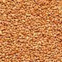 зерно пшеницы и ячменя в Саранске и Республике Мордовия